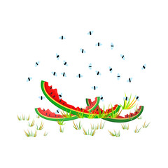 Fruit flies and watermelon peel. Drosophila melanogaster. Insect swarming around food scraps. Flies flying above peeled melon in grass. Organic waste or kitchen leftovers and pest. Vector illustration