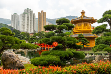 Nan Lian Garden , Beautiful Chinese garden during morning sunny day in Hongkong : 26 March 2024 - obrazy, fototapety, plakaty