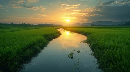 Foto op Canvas Rice paddy field reflections. AI generate illustration © PandaStockArt