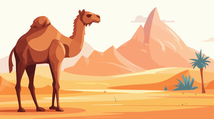 Cute one hump camel walking in desert. Wild dromeda
