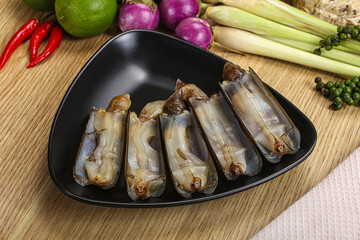 Raw fresh Razor clam mollusk