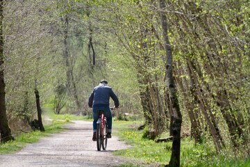 Obraz premium old man on a bike along a natural path of a park