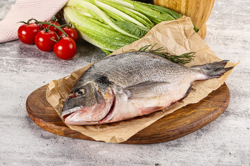 Raw dorada fish served rosemary
