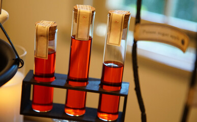 Test tube of sealed glass with red liquid for laboratory use