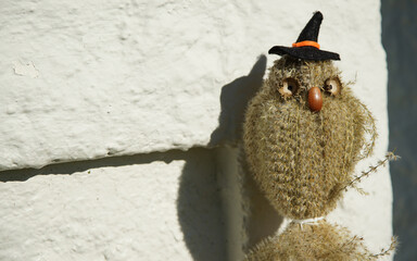Handmade owl doll displayed on the wall outside on a sunny day