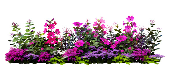 Garden flowers cut out