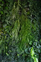 Deurstickers 壁面緑化 © naka