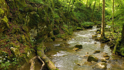 Sunny beautiful stream river in the woods. - 782862270