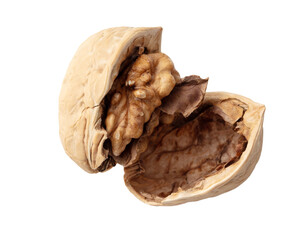 Chopped walnut isolated white background