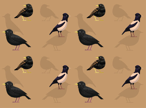 Bird Starling European Cartoon Cute Seamless Wallpaper Background