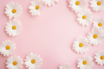 Naklejka na ściany i meble White daisies on a pink background.
