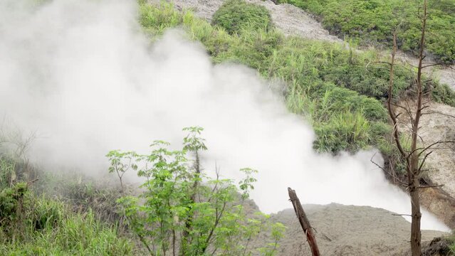 Forest landscape with geothermal steam vents at linow lake, north sulawesi