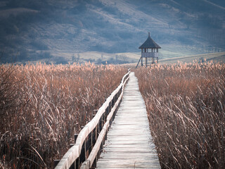 wooden path dry reeds Sic reservation village Cluj protected area birdhouse thatched roof