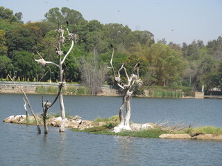 Relaxing Waters: Sankey Tank City Lake