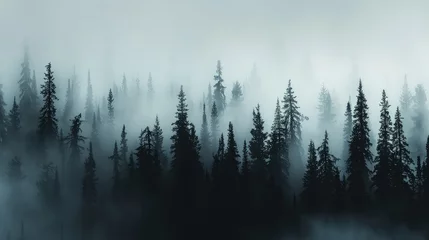 Fotobehang Silhouettes of ancient, towering trees in a dark forest, barely visible through a thick blanket of fog against a white sky.  © muhammad