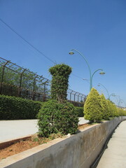 Tranquility Amidst Urban Life: Sankey Tank