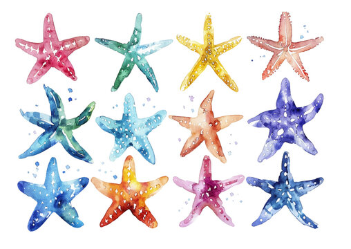 Starfish set, isolated vector watercolor illustration.
