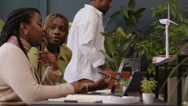 Medium shot of two young Black women talking by office desk and Black man spraying water on houseplants, working together in modern and green office