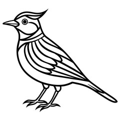 bird on a white background