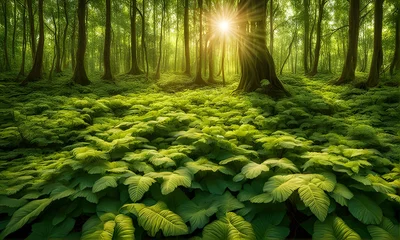 Fotobehang Lush green forest canopy with golden sunlight filtering through the leaves, casting enchanting patterns on the forest floor. © Hasan