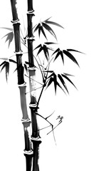 Fototapeta na wymiar PNG Bamboo wood Japanese minimal bamboo symbol plant.