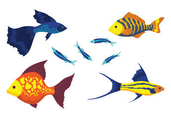 Aquarium fish set. Beautiful underwater characters. Varieties of decorative colored freshwater fish in flat cartoon design. Vector illustration, isolated elements on white