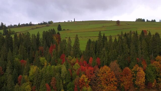 Autumnal scenery under the Tatra Mountains, Lapszanka. Poland