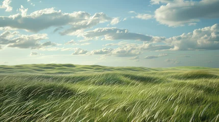 Foto auf Acrylglas Open Windswept Grassland © Andreas
