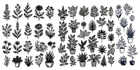 Vector collection of hand drawn plants and flower. Botanical set of sketch plants and flowers vector illustration