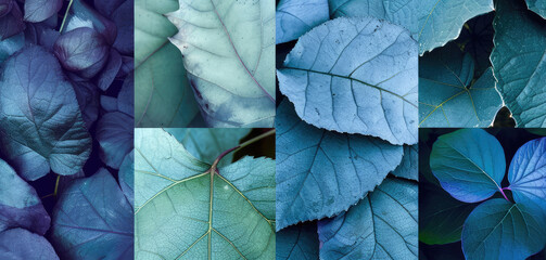 Cool Toned Blue Leaves in Collage Layout
