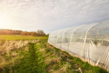 A side view of a greenhouse in an organic plantation at sunset. - 782911428
