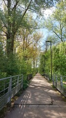 Fototapeta premium The photos were taken in France in the town of Amiens 80080 on April 10, 2024. They highlight the summer