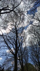 The photos were taken in France in the town of Amiens 80080 on April 10, 2024. They highlight the summer