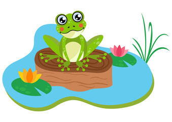 Happy frog living in nature - 782915601