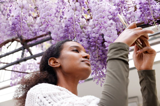 A black African American woman with a serious face is taking picture under the blooming purple wisteria flower in the garden