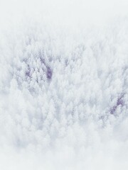Vertical aerial view of winter foggy forest in the countryside