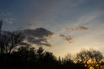 Scenic view of trees in a park at sunset in the evening in the cloudy sky background