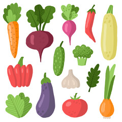 Set of vegetables. Vector illustrations