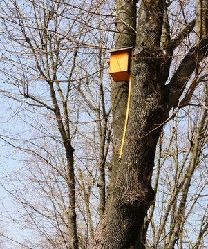 Orange birdhouse on a high tree in the yard. Attracting birds to gardens, ecology, ecosystem.