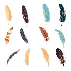 Color bird feather icons isolated on white background
