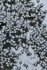 Closeup of abstract background of water on cold window glass frozen.