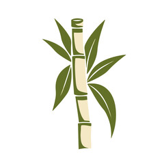Fototapeta na wymiar bamboo isolated on transparent background