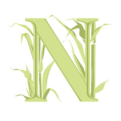 the letter N is bamboo green on transparent background