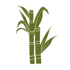 bamboo isolated on transparent background