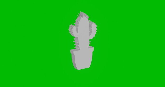 Animation of rotation of a white cactus symbol with shadow. Simple and complex rotation. Seamless looped 4k animation on green chroma key background