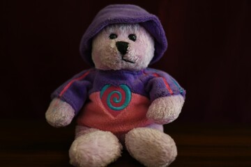 Cute teddy bear in modern clothes