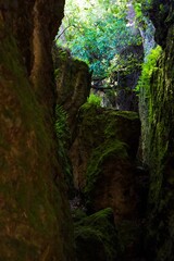 Rocky cave covered with moss