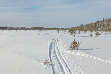 Skiing tracks at snowy marsh in sunny winter weather with snow covering the ground, Toronsuo National Park, Tammela, Finland.