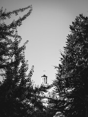 Vertical grayscale of a church with trees in the foreground