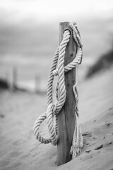Closeup of rope on wood